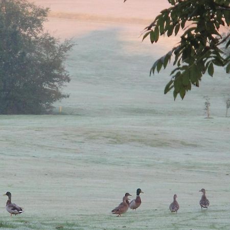 Lanhydrock Hotel & Golf Club بودمين المظهر الخارجي الصورة