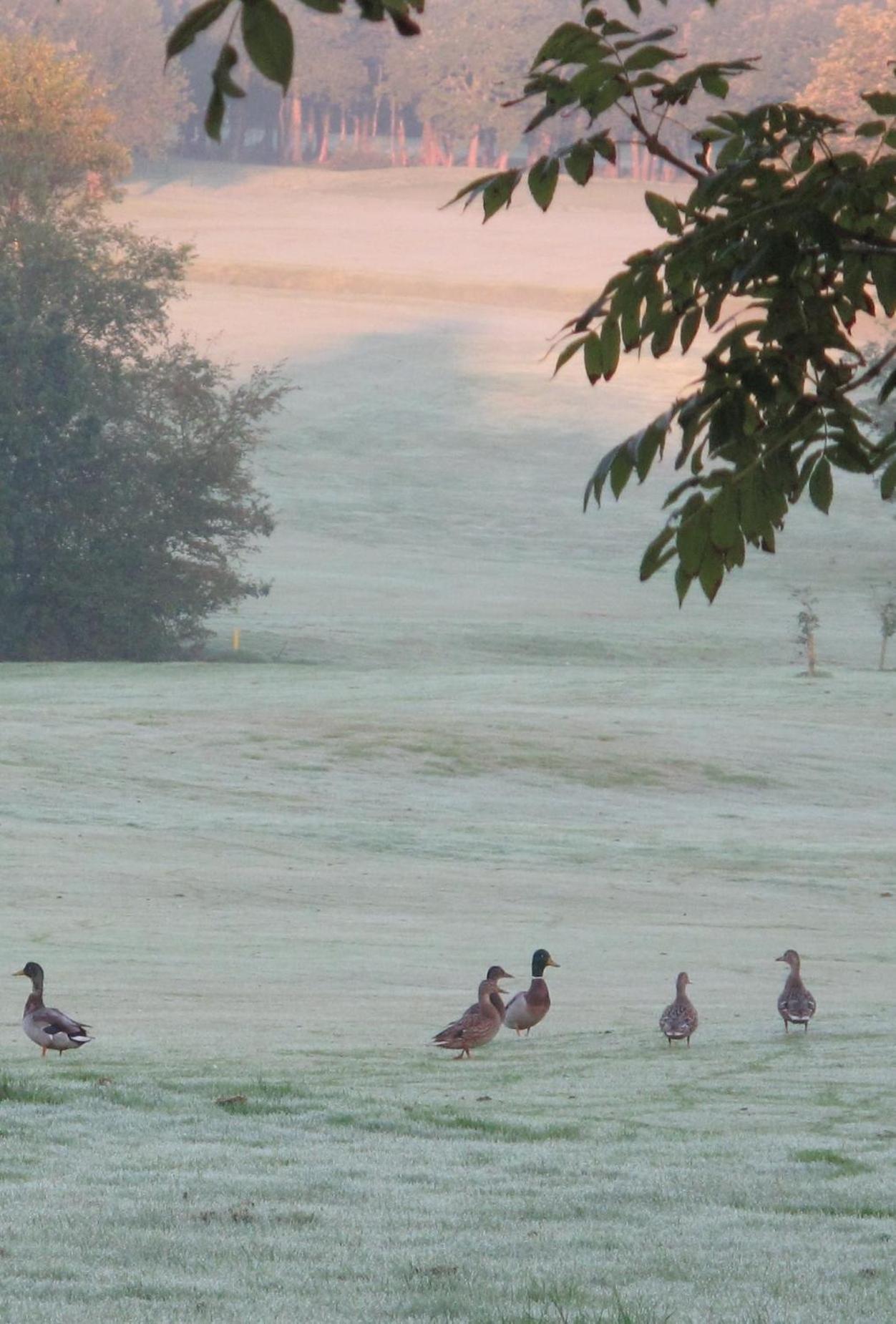 Lanhydrock Hotel & Golf Club بودمين المظهر الخارجي الصورة